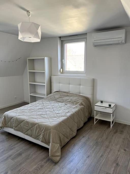Appartement F5 Maison De Maitre 뮐루즈 외부 사진