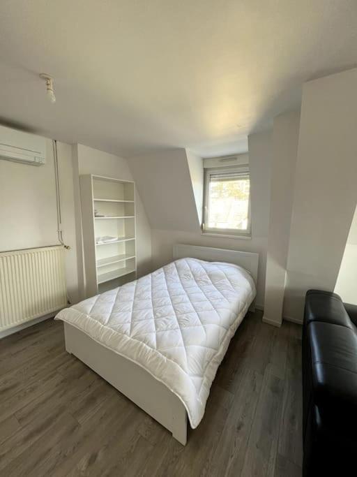 Appartement F5 Maison De Maitre 뮐루즈 외부 사진