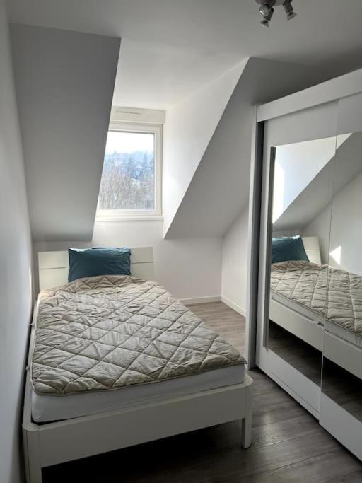 Appartement F5 Maison De Maitre 뮐루즈 외부 사진