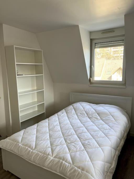 Appartement F5 Maison De Maitre 뮐루즈 외부 사진