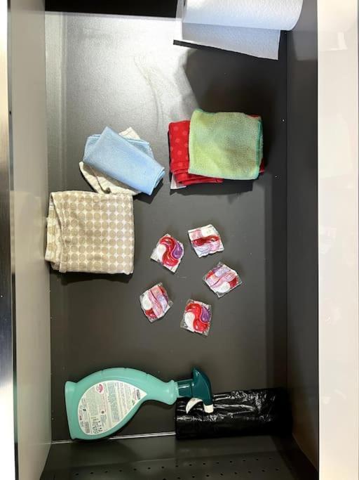 Appartement F5 Maison De Maitre 뮐루즈 외부 사진
